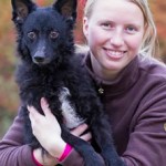 Merit Jähne Hundetrainerteam