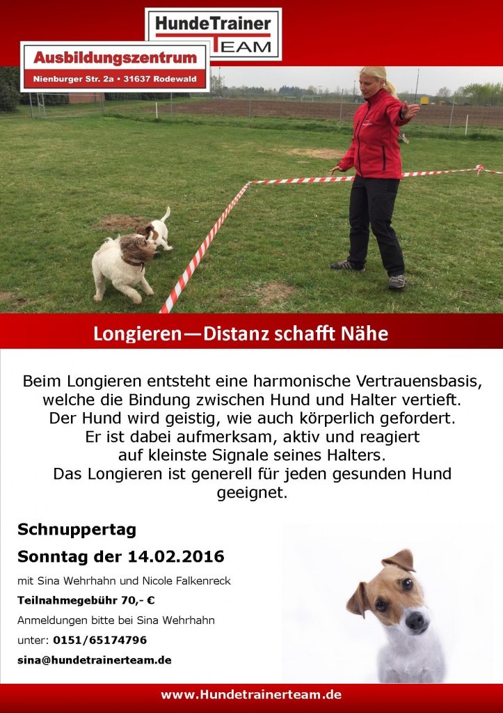 Schnuppertag longieren